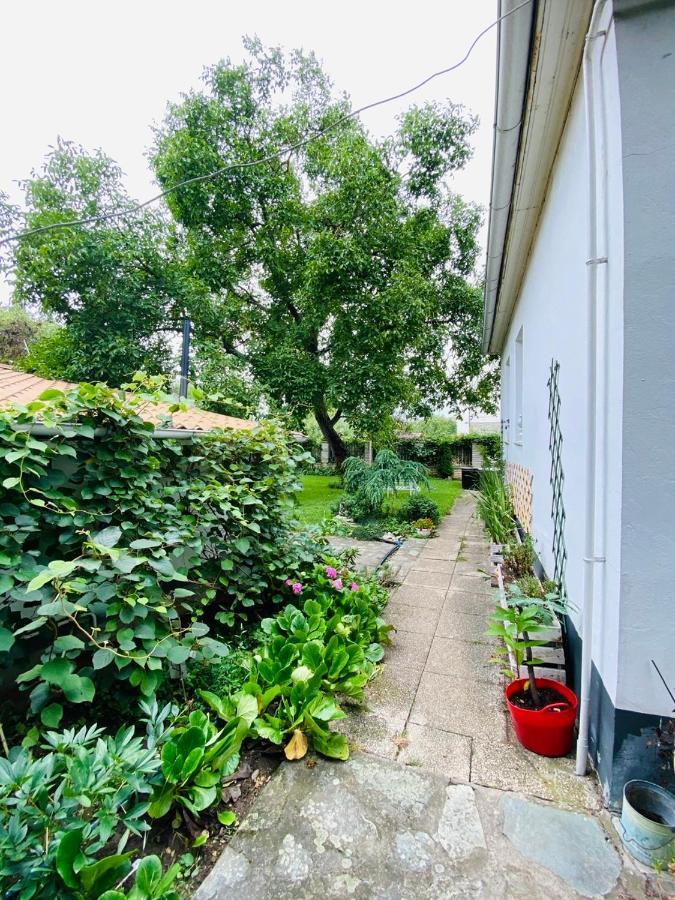 B&B Chardas Бік Екстер'єр фото
